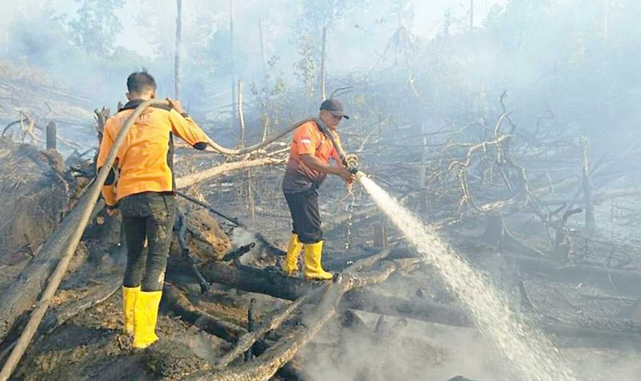 -114820251125180554291