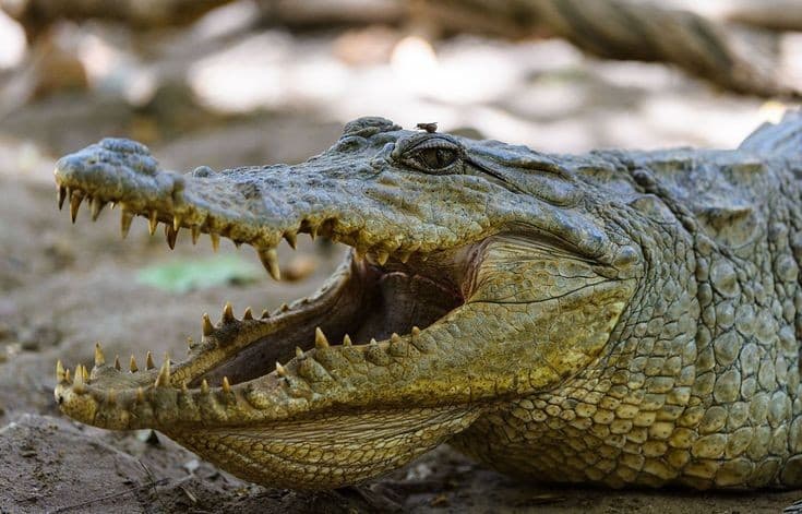 -59720251125182533133