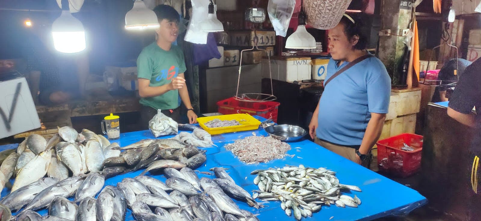 -79520251125191028866