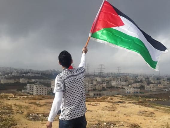 -85320251125180549159