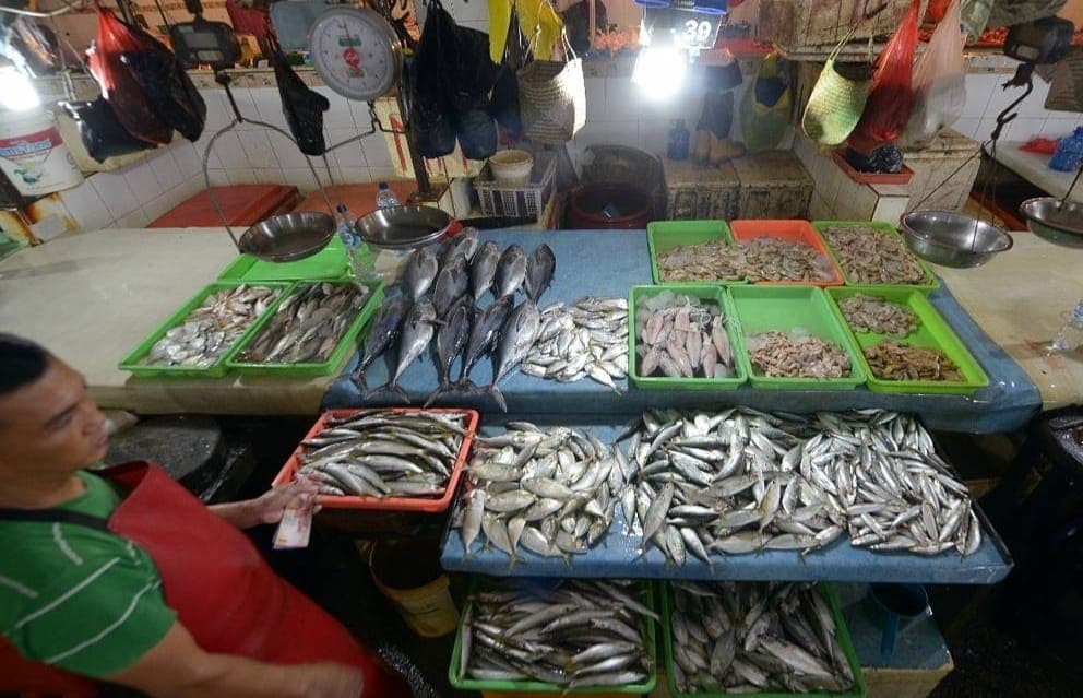 -96820251125191008144