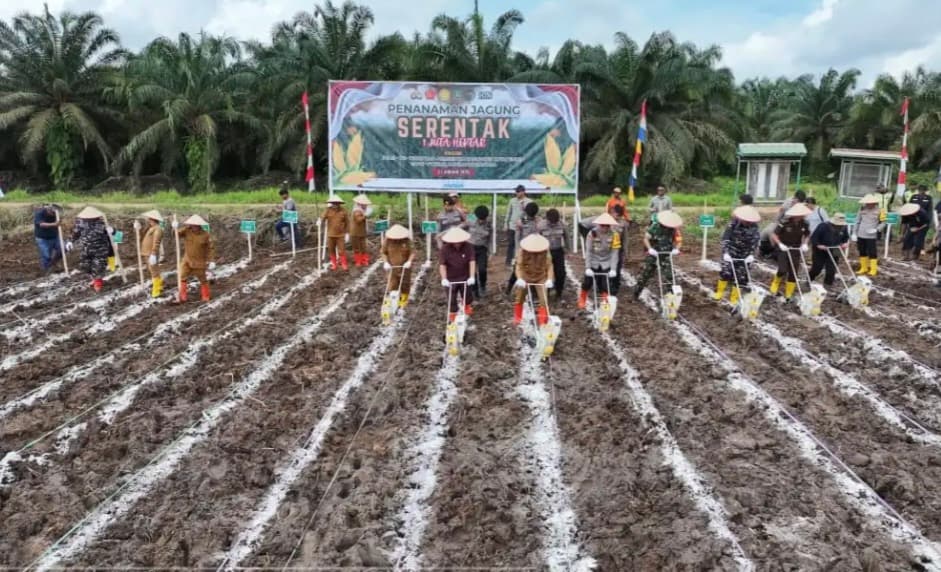 2-605020251125183723181