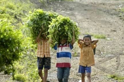 Anak kecil
