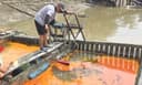 DLH Kubar Nyatakan Tumpahan CPO PT Kruing tak Berdampak pada Ikan Mahakam, Hanya Ikan di Keramba
