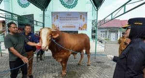 Bontang