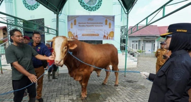 Bontang