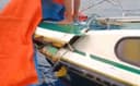 Angkut 12 Wisatawan, Speedboat Tujuan Tanjung Redeb Pecah di Tengah Laut