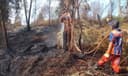 4 Hektar Lahan di Gunung Steleng Penajam Hangus Terbakar