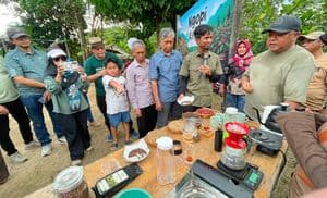 Kopi Liberika