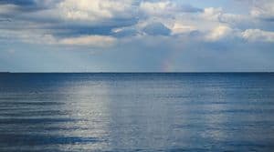 Laut