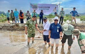 Gerakan Tanam Nasional 