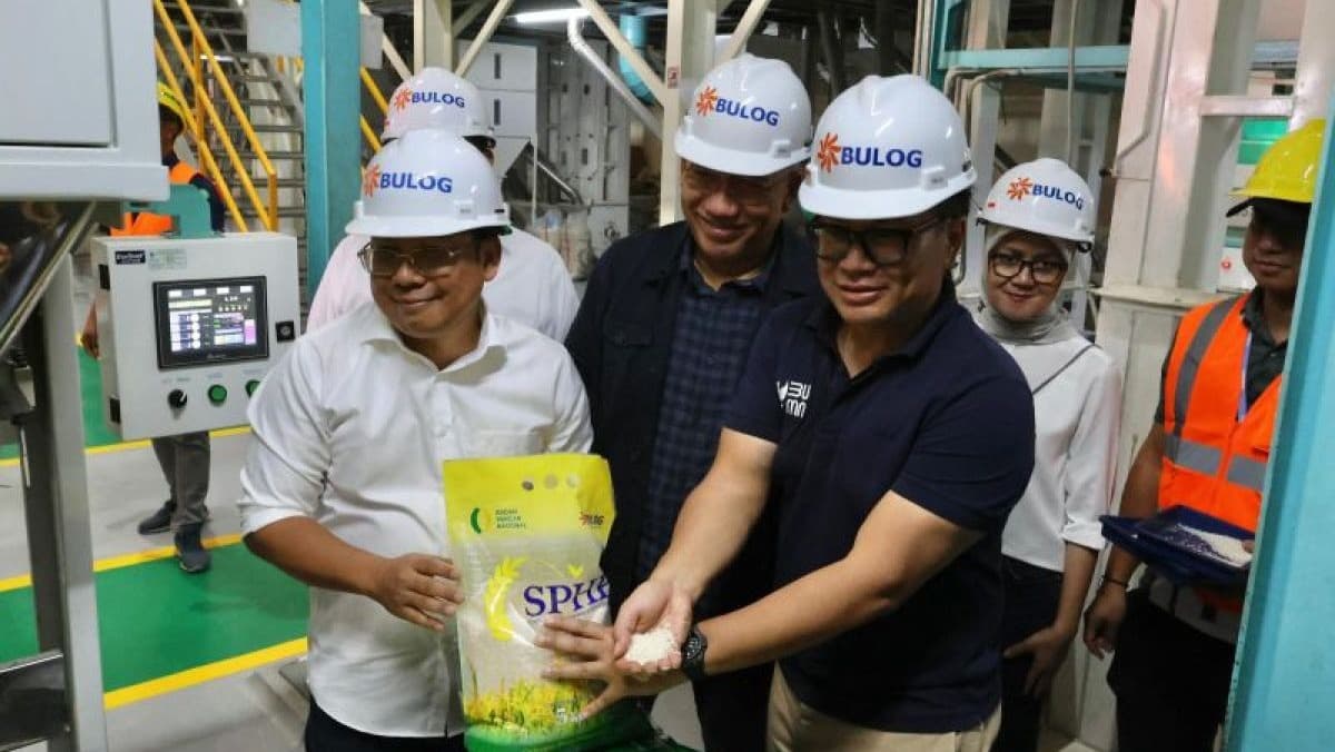 e-307420251125175848774