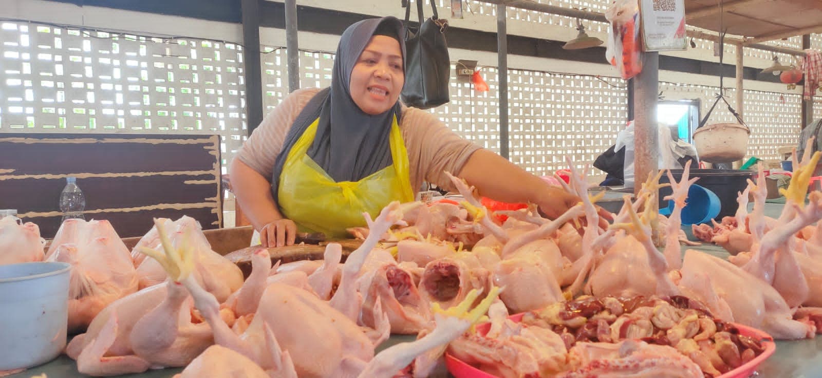 j-624720251125191028952