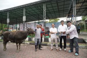 kurban PLN 2026