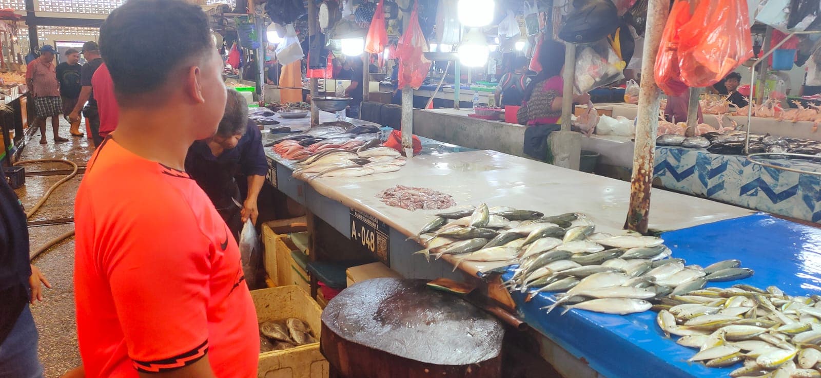 t-150520251125191029072