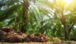 u-471020251125184721293.jpg