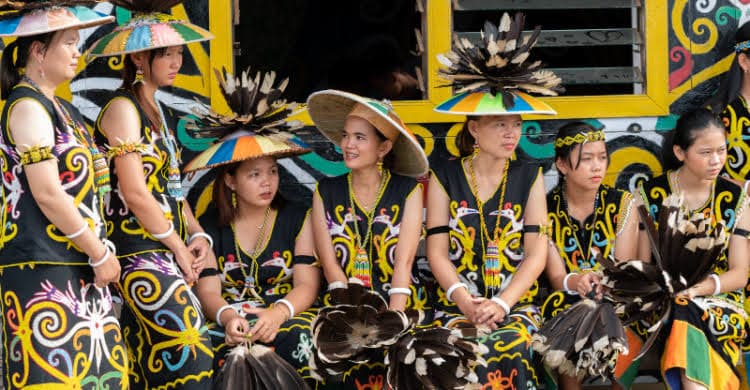 x-158120251125175900797